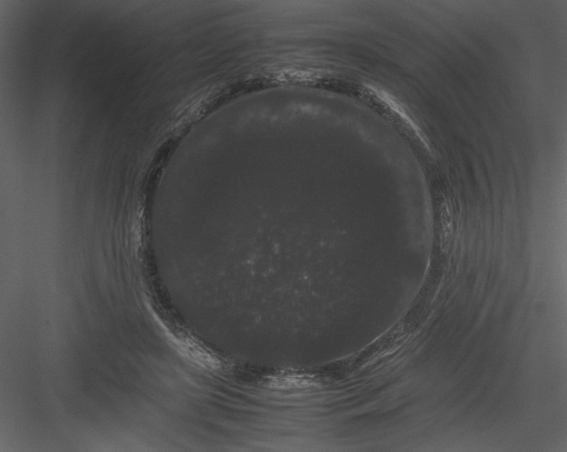 X0000082940451200702222251