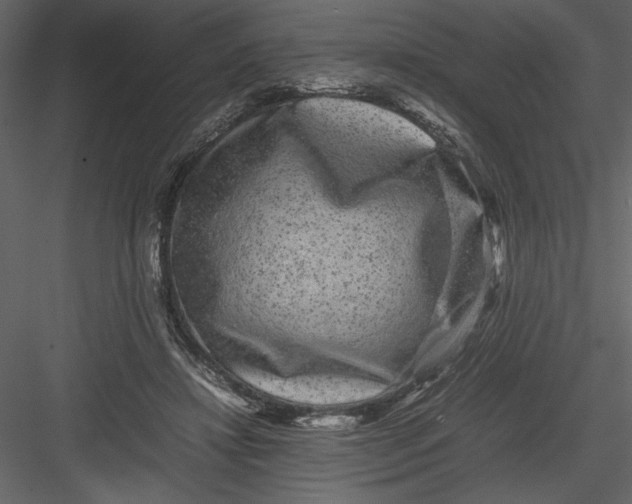 X0000082940452200702222251