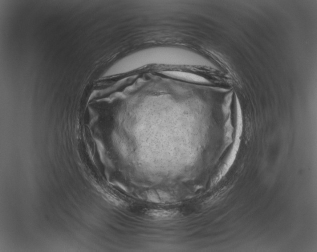 X0000082940453200702222251