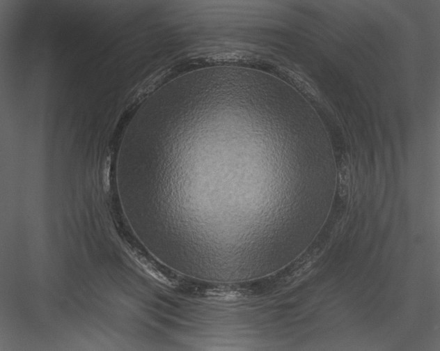 X0000082940454200702222251