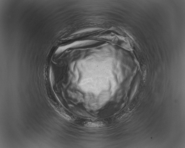 X0000082940455200702222251