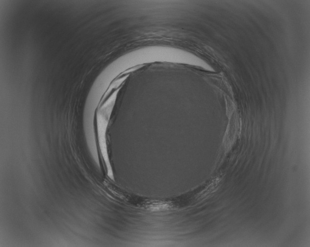 X0000082940456200702222251