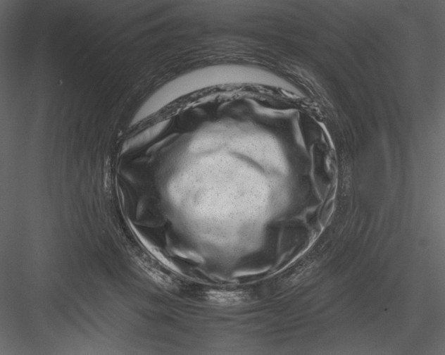 X0000082940457200702222251