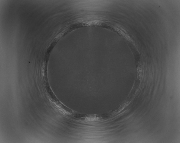 X0000082940458200702222251