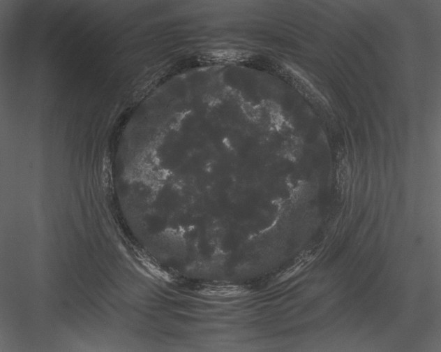 X0000082940459200702222251