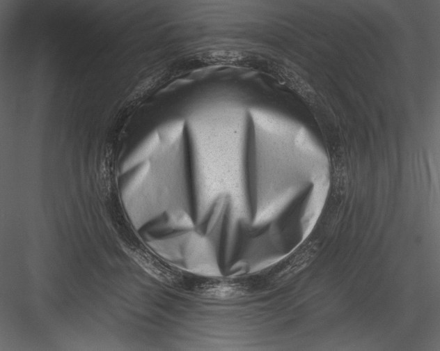 X0000082940460200702222251