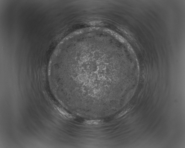 X0000082940461200702222251