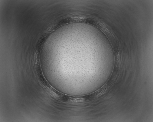 X0000082940463200702222251