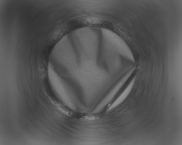 X0000082940464200702222251