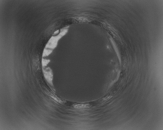 X0000082940465200702222251