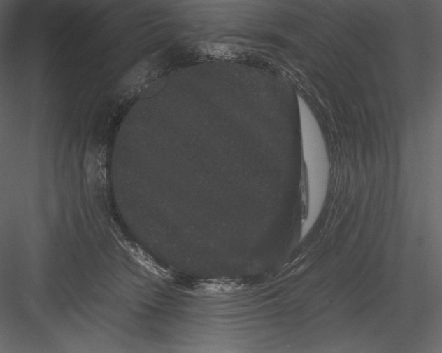 X0000082940466200702222251