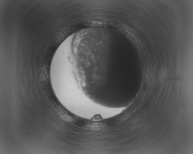 X0000082940467200702222251