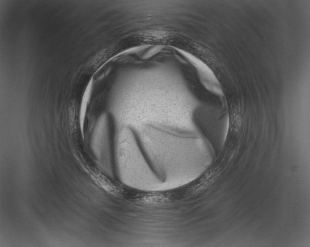 X0000082940468200702222251