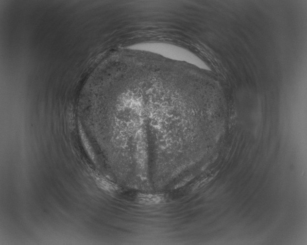 X0000082940469200702222251