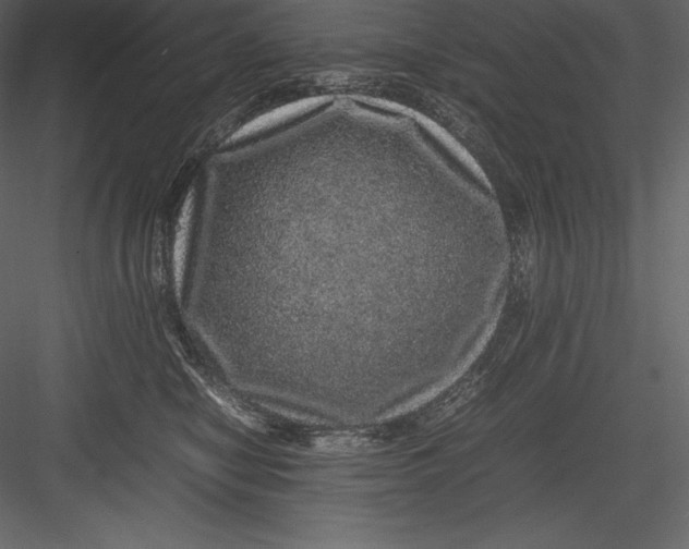 X0000082940470200702222251