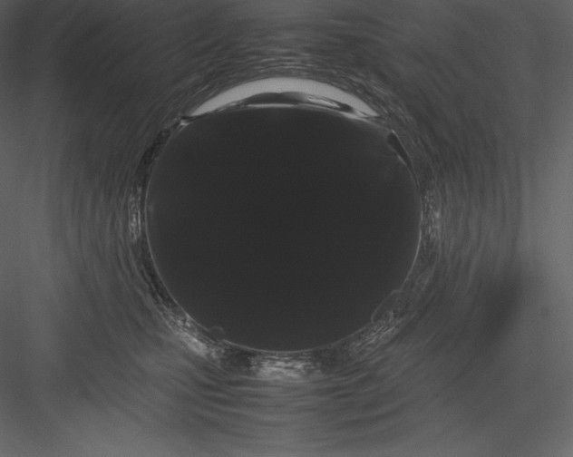 X0000082940471200702222251