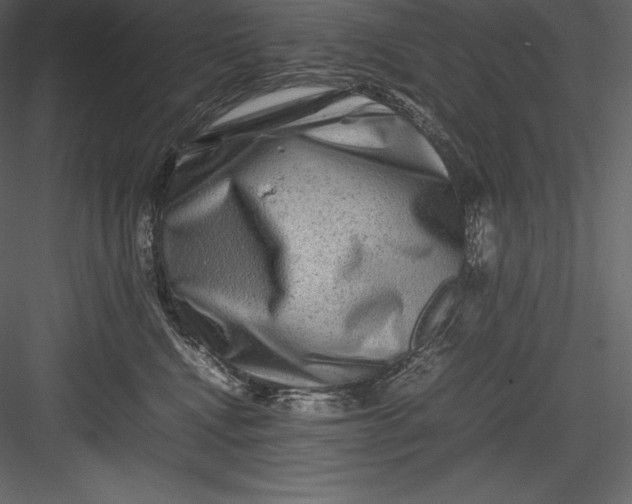 X0000082940472200702222251