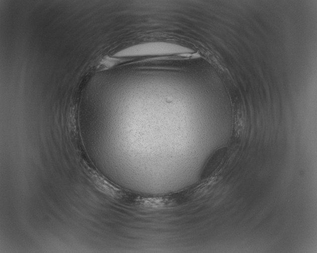 X0000082940473200702222251