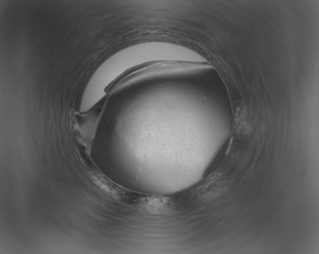 X0000082940474200702222251