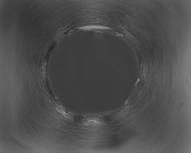 X0000082940475200702222251