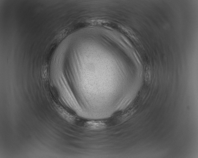 X0000082940477200702222251