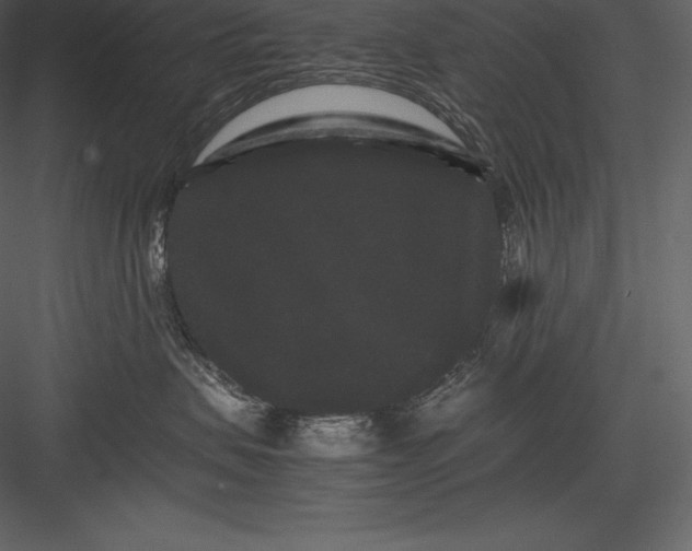 X0000082940479200702222251