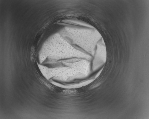 X0000082940480200702222251