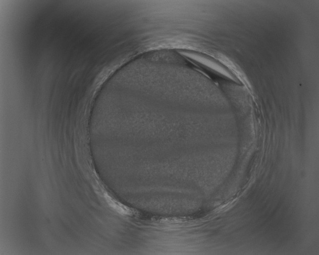 X0000082940481200702222251