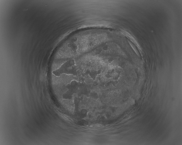 X0000082940483200702222251