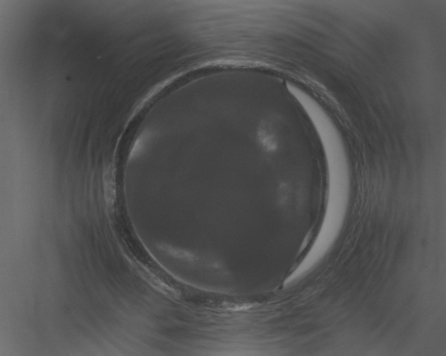 X0000082940484200702222251