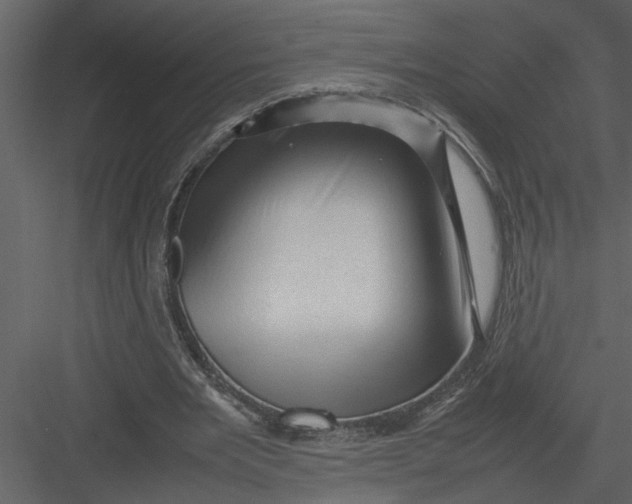 X0000082940485200702222251