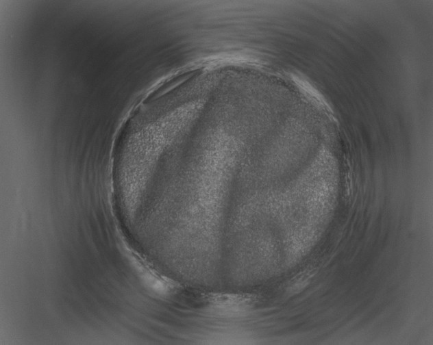 X0000082940486200702222251