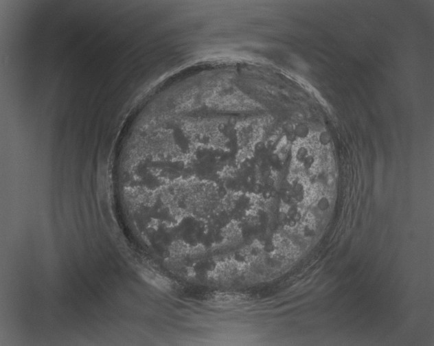 X0000082940487200702222251