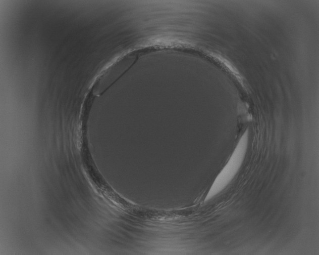 X0000082940488200702222251