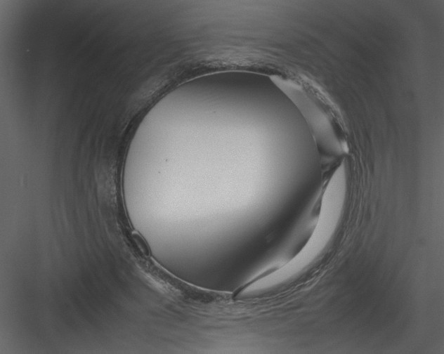 X0000082940489200702222251