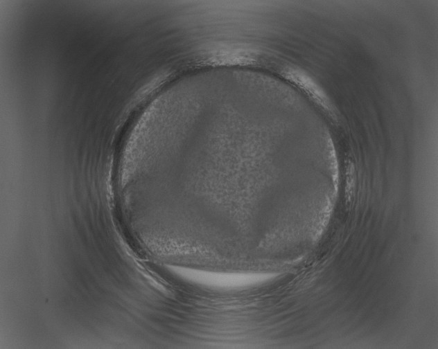 X0000082940490200702222251