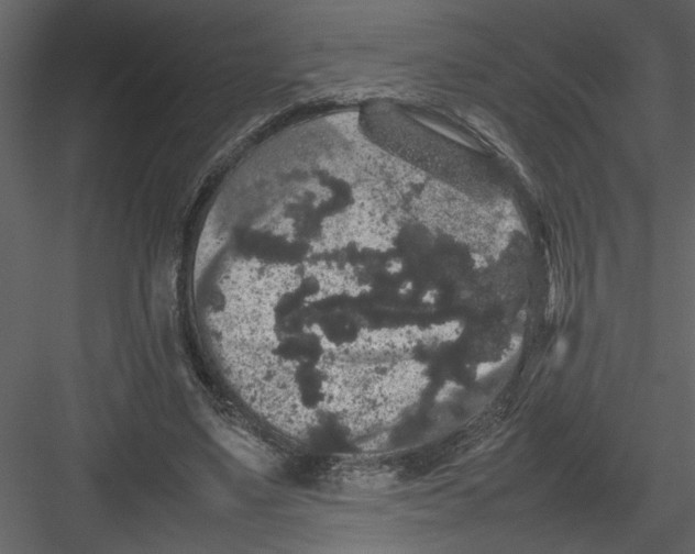 X0000082940491200702222250