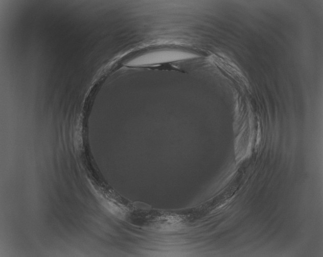 X0000082940492200702222250