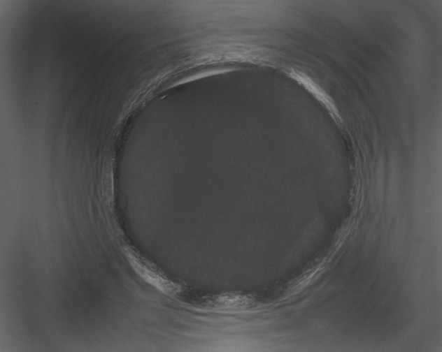 X0000082940493200702222250