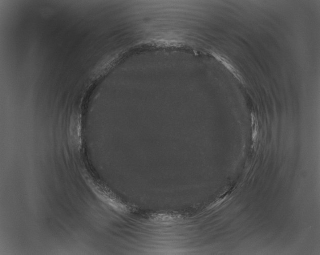 X0000082940494200702222250