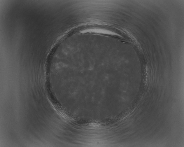 X0000082940496200702222250