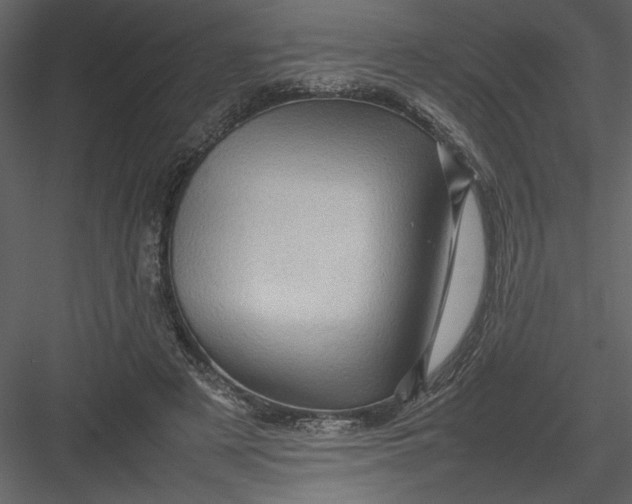 X0000082940497200702222250