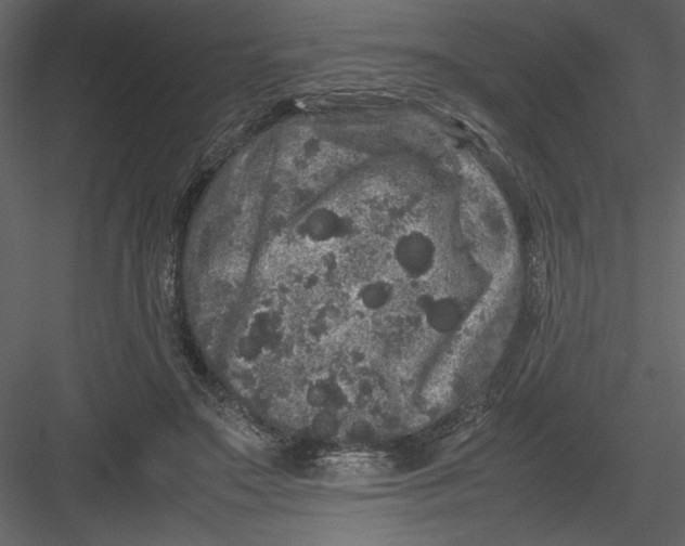 X0000082940499200702222250