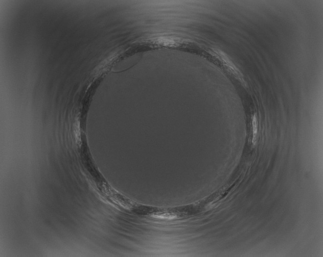 X0000082940500200702222250