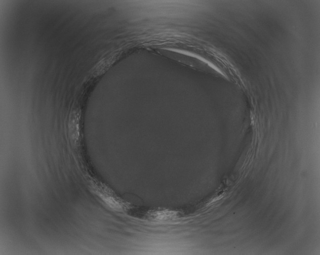 X0000082940501200702222250