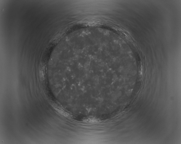 X0000082940503200702222250