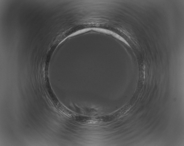 X0000082940504200702222250