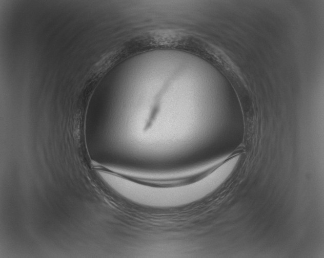 X0000082940505200702222250