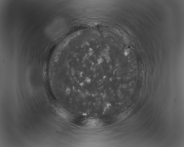 X0000082940507200702222250