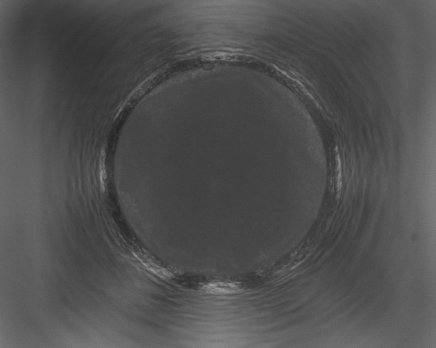 X0000082940508200702222250